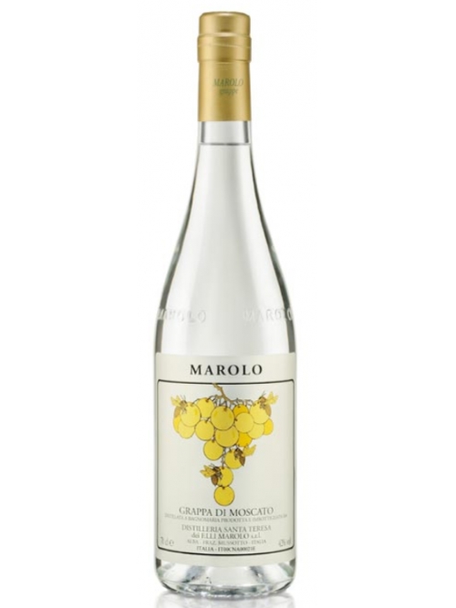 Grappa Di Moscato